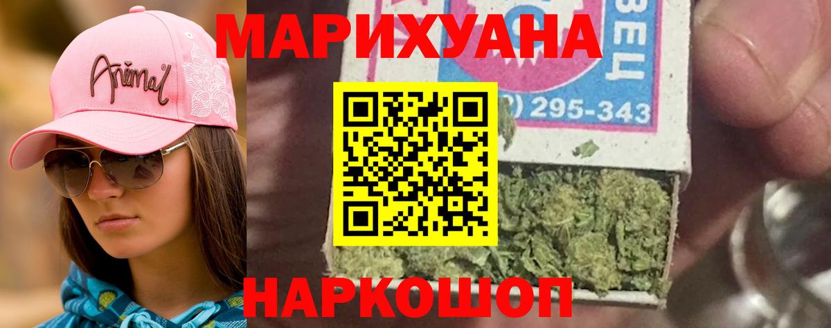 Конопля план Калуга