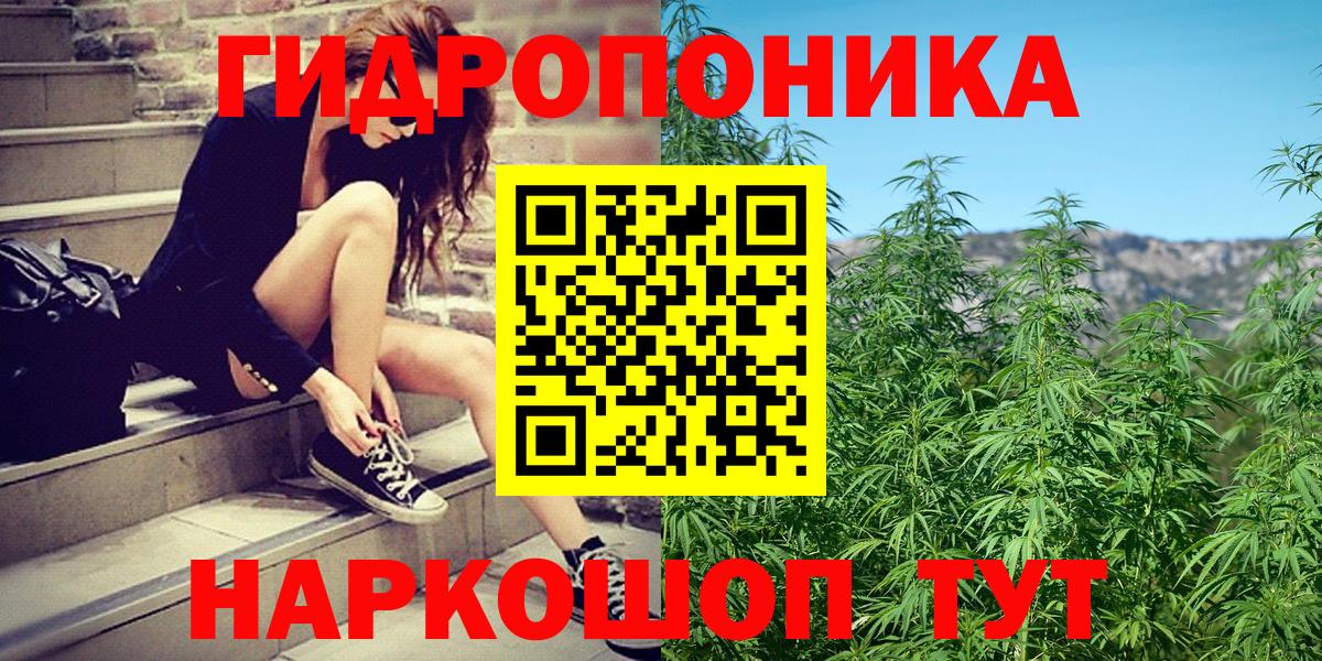 МАРИХУАНА семена  Конопля Bruce Banner  Вход с VPN  Марихуана сатива  Калуга 